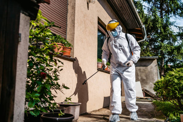 Best Ant Control Services  in Finley, WA