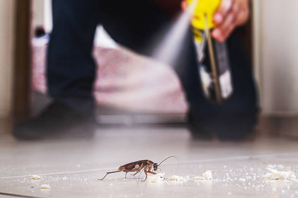 Best Exterminator Services  in Finley, WA