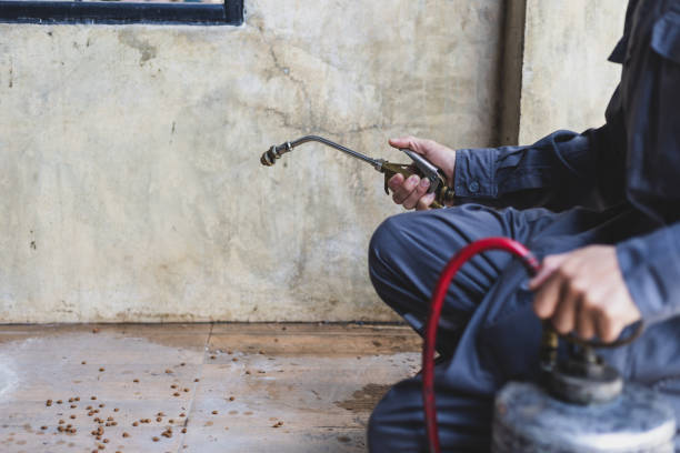 Trusted Finley, WA Pest Control Experts